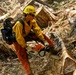 2025 Cedar Ridge Initial Ignitions
