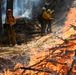 2025 Cedar Ridge Initial Ignitions