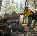 2025 Cedar Ridge Initial Ignitions