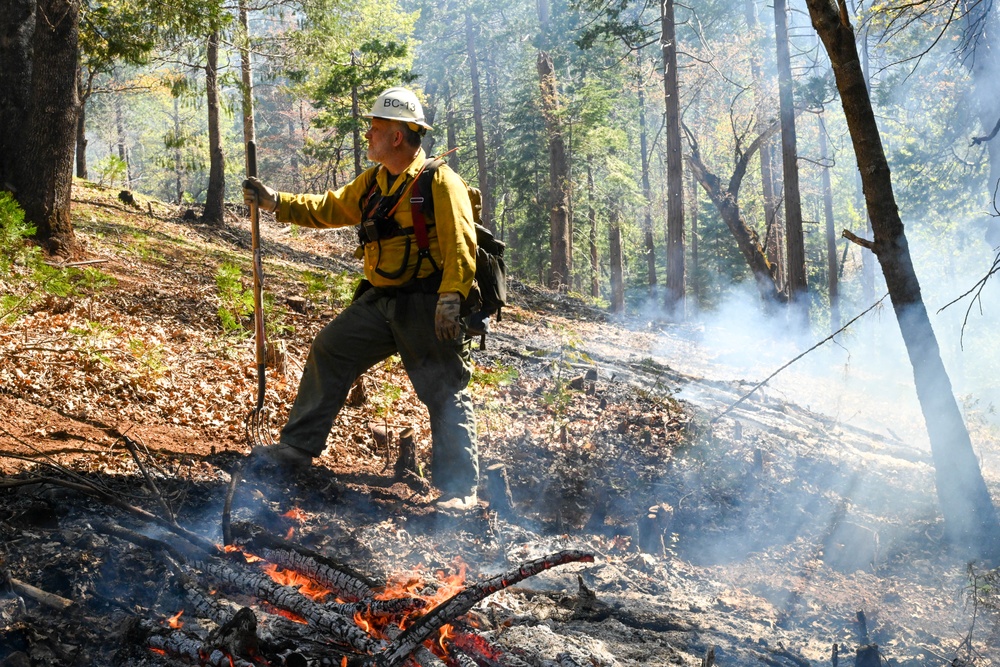 2025 Cedar Ridge Initial Ignitions