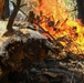 2025 Cedar Ridge Initial Ignitions