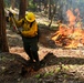 2025 Cedar Ridge Initial Ignitions