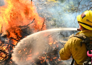 2025 Cedar Ridge Initial Ignitions