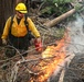 2025 Cedar Ridge Initial Ignitions
