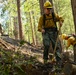 2025 Cedar Ridge Initial Ignitions