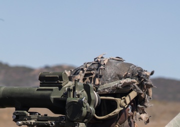 U.S. Marines with 1st Bn., 11th Marines complete helicopter raid during Cobra Fury 25.2