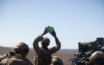 U.S. Marines with 1st Bn., 11th Marines complete helicopter raid during Cobra Fury 25.2