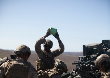 U.S. Marines with 1st Bn., 11th Marines complete helicopter raid during Cobra Fury 25.2