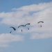 Multi-national military scenario for BRIGHT STAR 25