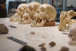 DPAA Teams Finding Heroes Lost in Battle