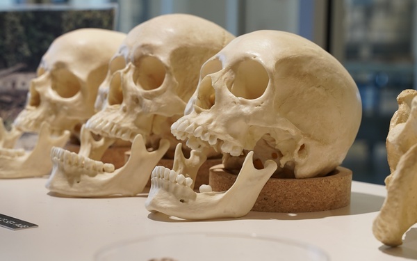 DPAA Teams Finding Heroes Lost in Battle