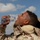 India, Egypt and U.S. armed forces conduct CBRN training for BRIGHT STAR 25 India, Egypt and U.S. armed forces conduct CBRN training for BRIGHT STAR 25