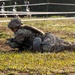 Soldiers conduct patrol and medical lanes in preparation for E2B