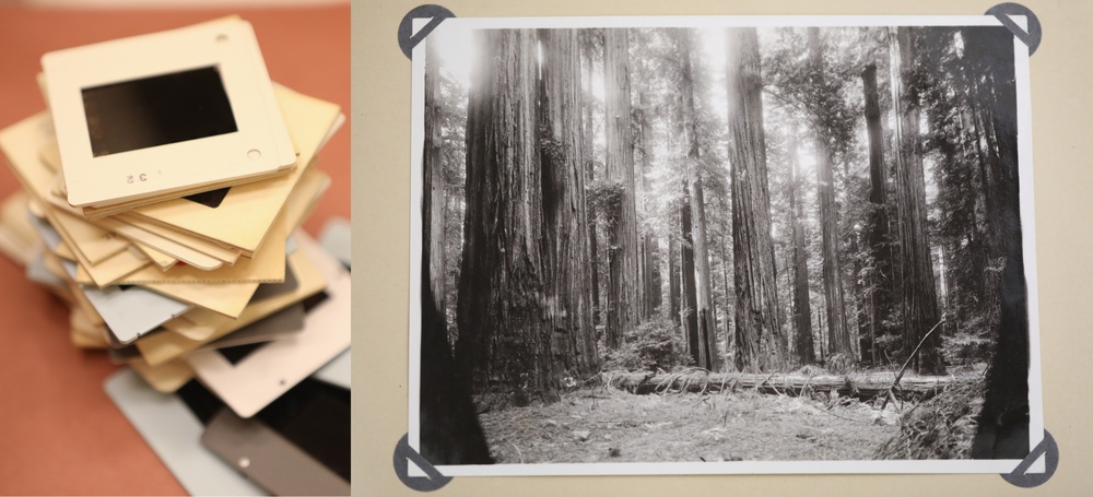 Archives: Windows to a Bygone Era