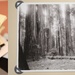 Archives: Windows to a Bygone Era