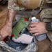 Soldiers conduct weapons and land navigation training in preparation for E2B