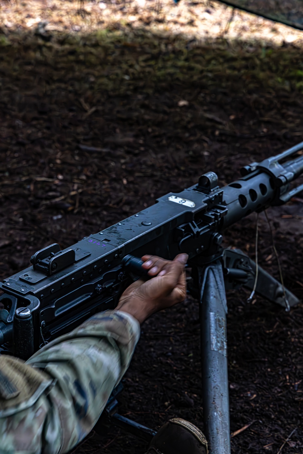 Soldiers conduct weapon and land navigation training in preparation for E2B