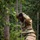 2025 Drill Sergeant of the Year Competition