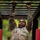 2025 Drill Sergeant of the Year Competition