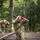 2025 Drill Sergeant of the Year Competition
