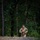 2025 Drill Sergeant of the Year Competition
