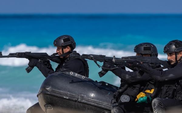 BRIGHT STAR 25: Amphibious Assault