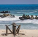 BRIGHT STAR 25: Amphibious Assault