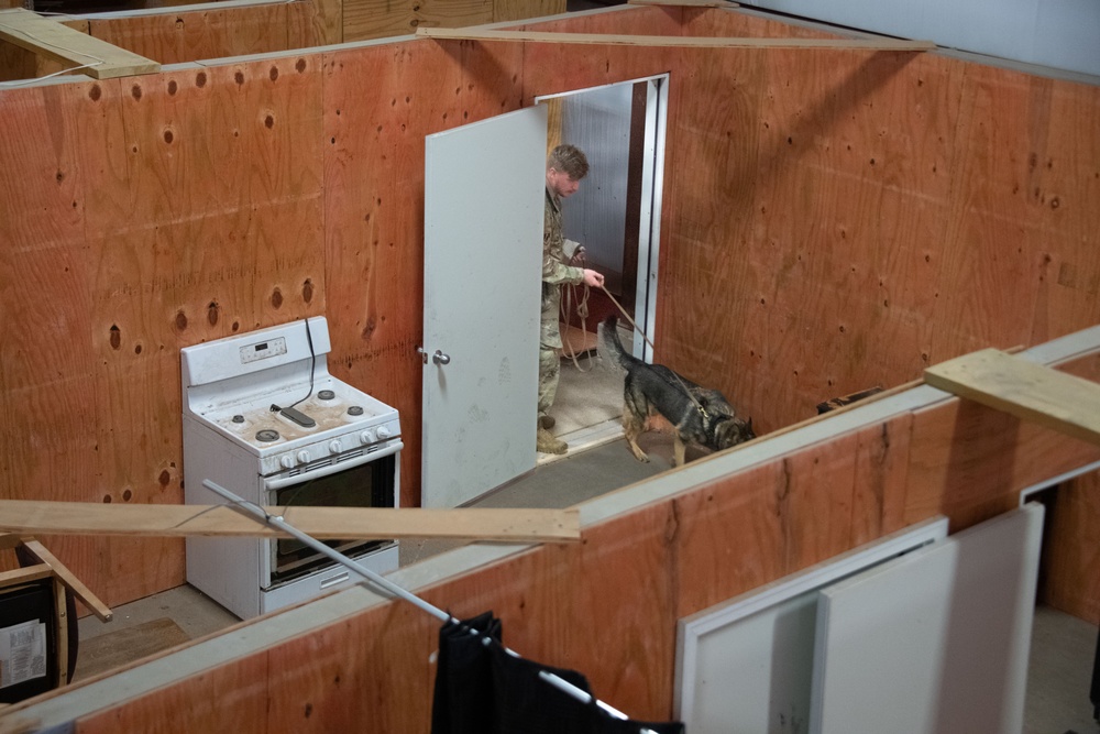 Altus Security Forces K9s partner with federal agencies for training