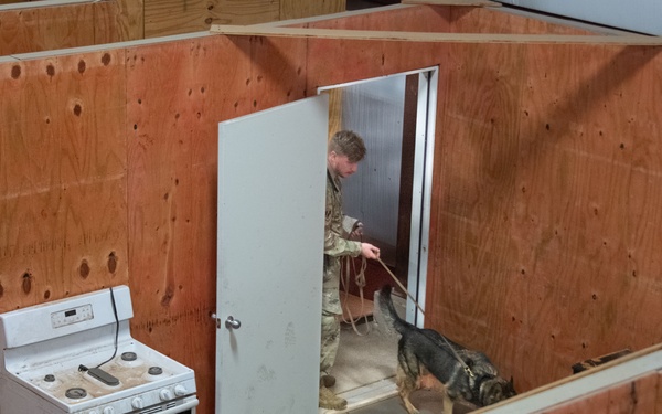 Altus Security Forces K9s partner with federal agencies for training