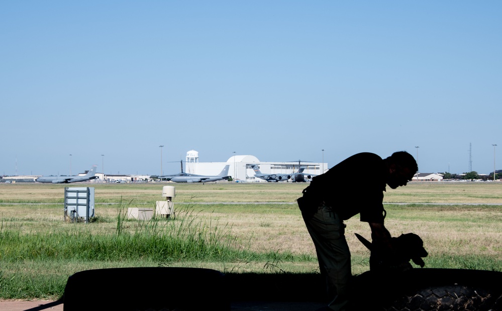 Altus Security Forces K9s partner with federal agencies for training