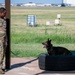 Altus Security Forces K9s partner with federal agencies for training