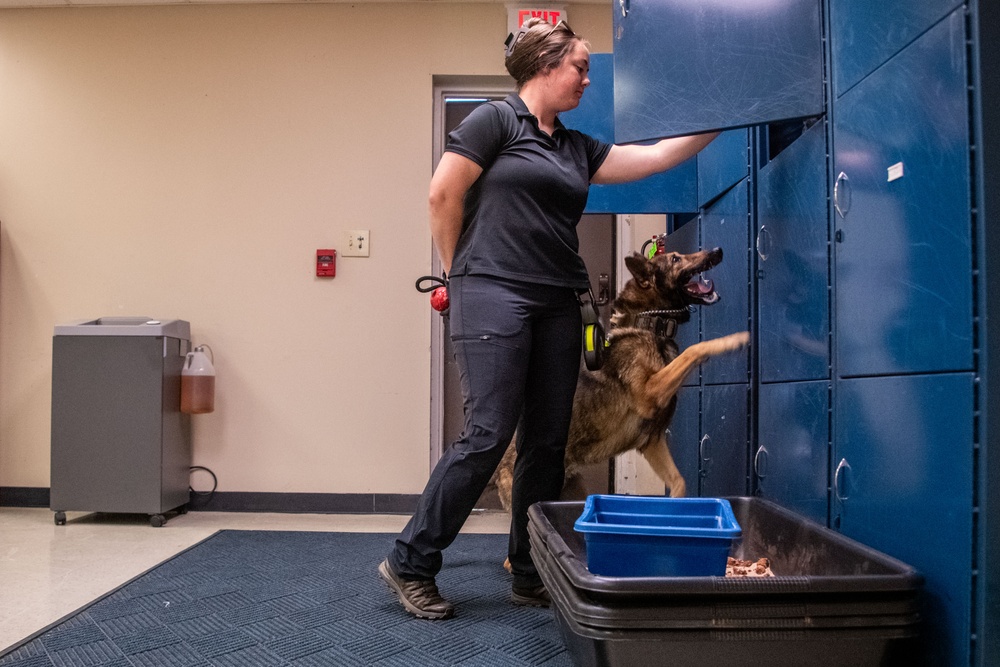 Altus Security Forces K9s partner with federal agencies for training