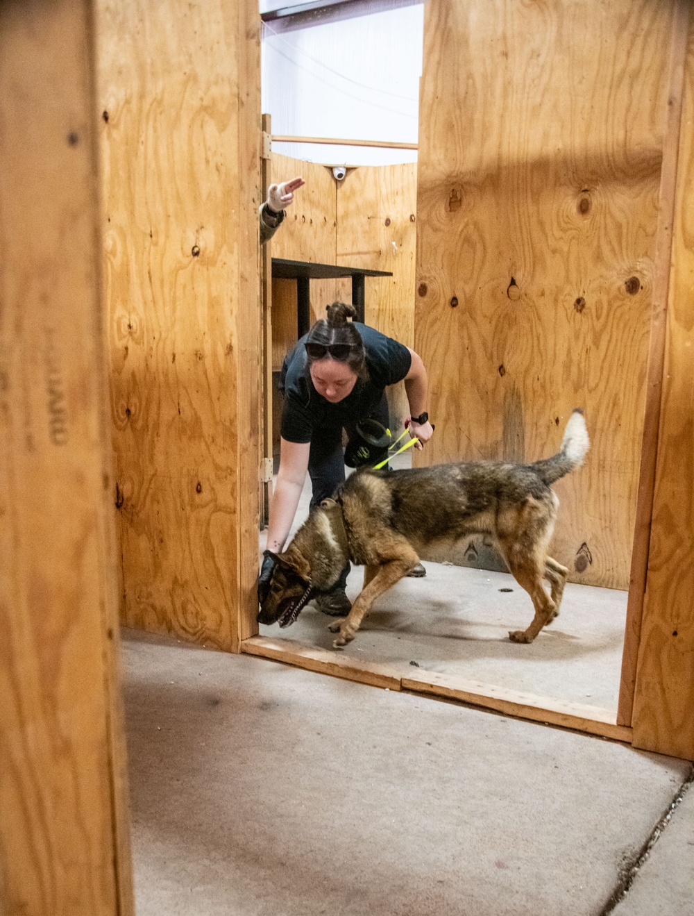 Altus Security Forces K9s partner with federal agencies for training