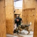Altus Security Forces K9s partner with federal agencies for training