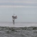 4th Fighter Wing participates in search and rescue exercise