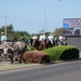 Have you Herd about Altus AFB’s 27th Annual Cattle Drive