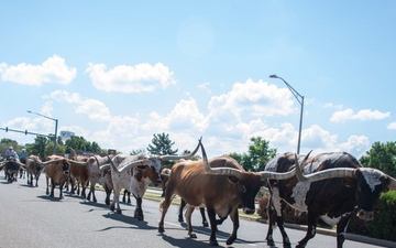 Have you Herd about Altus AFB’s 27th Annual Cattle Drive