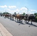 Have you Herd about Altus AFB’s 27th Annual Cattle Drive