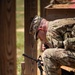 2025 Drill Sergeant of the Year Competition