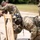 2025 Drill Sergeant of the Year Competition