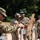 2025 Drill Sergeant of the Year Competition