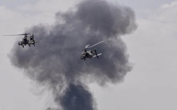 BRIGHT STAR 25: CALFEX