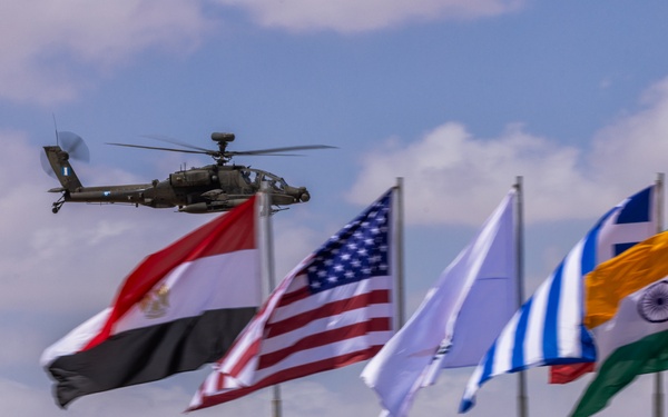 BRIGHT STAR 25: CALFEX