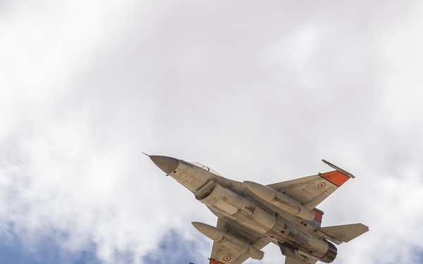 BRIGHT STAR 25: CALFEX