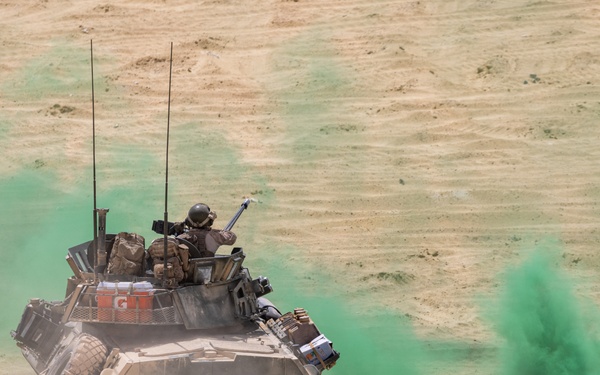 BRIGHT STAR 25: CALFEX