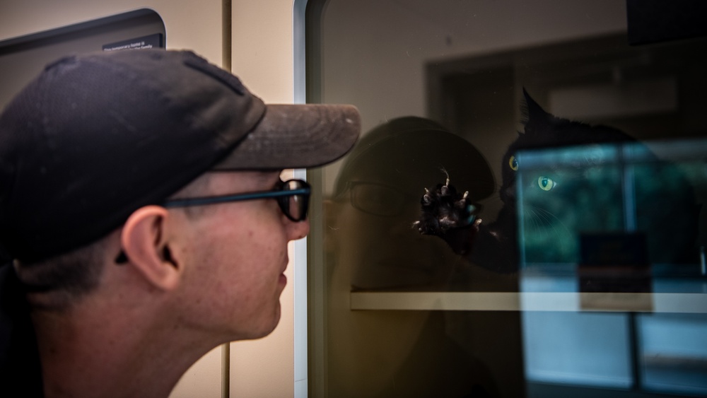 US Navy Sailors Volunteer at Kitsap Humane Society