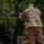 Drill Sergeant of the Year Competition 2025
