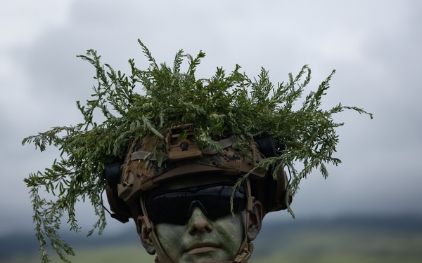 RD25 | U.S. Marines and Japan Ground Self-Defense Force Participate in a Bilateral Live-Fire Range