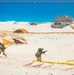 Egyptian armed forces close out BRIGHT STAR 25 with amphibious operations demonstration