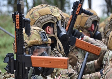 Domestic Operations training